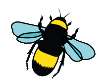 Amplify logo